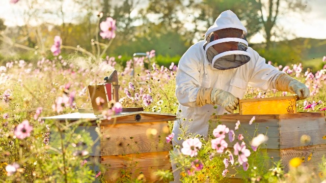 能提供检测报告的蜂蜜源头厂家去哪找？