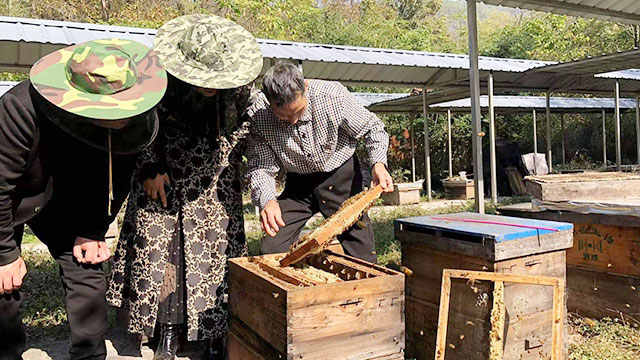 鸿香源-原料蜂蜜分装案例