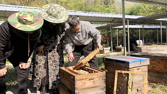 分装蜂蜜原料应用案例