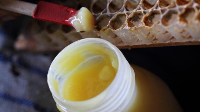 蜂王浆含有哪些氨基酸？蜂王浆冻干粉与新鲜蜂王浆哪个氨基酸多？